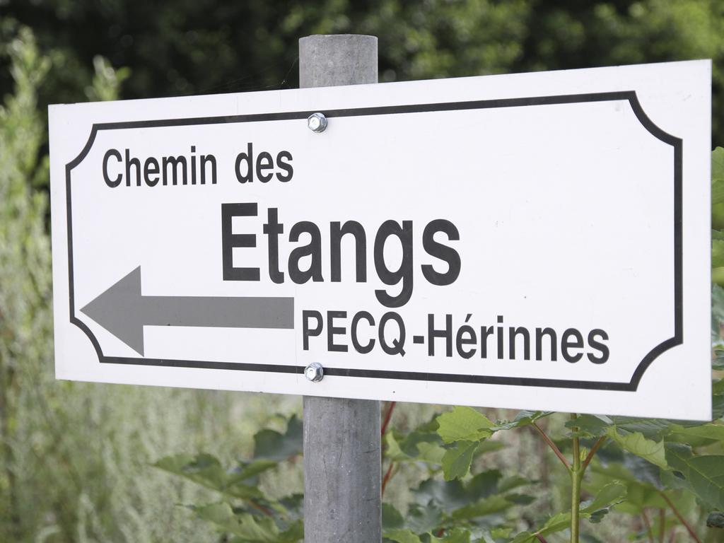 Willa Terre D'O Pecq Zewnętrze zdjęcie